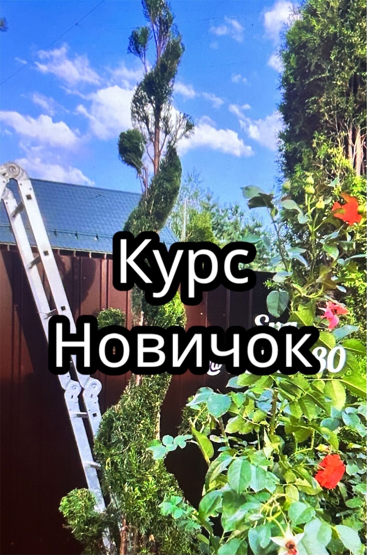 Новичок