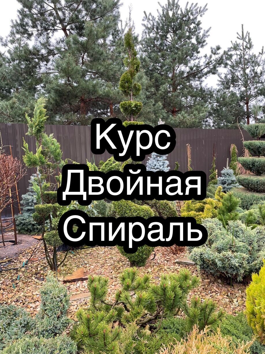 Ева «Сад своими руками» | Озеленение, онлайн курсы по стрижке сада в ...